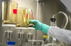 Technician handling collected samples in the laboratory